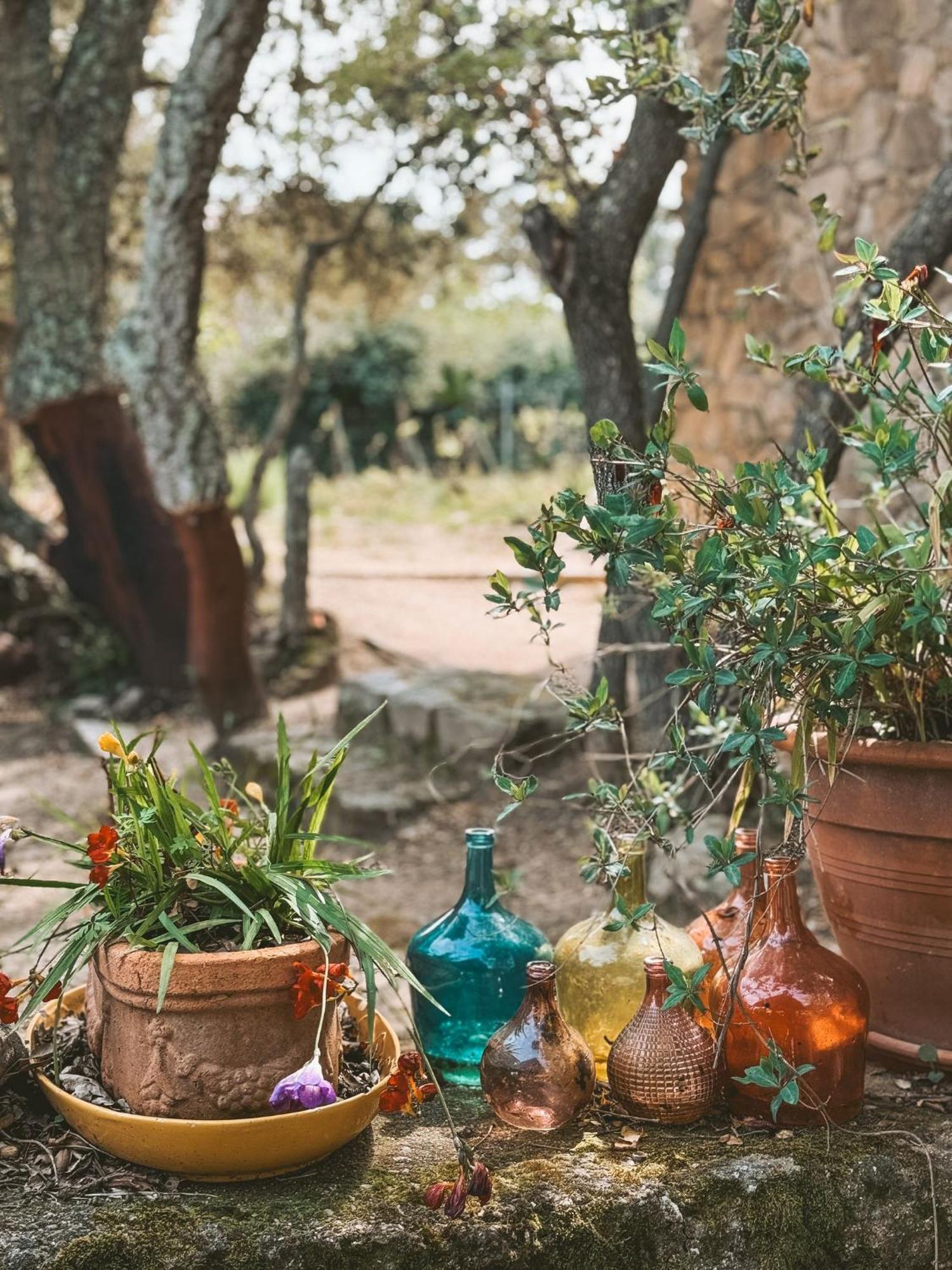 Agriturismo Il Muto Di Gallura Aggius 외부 사진