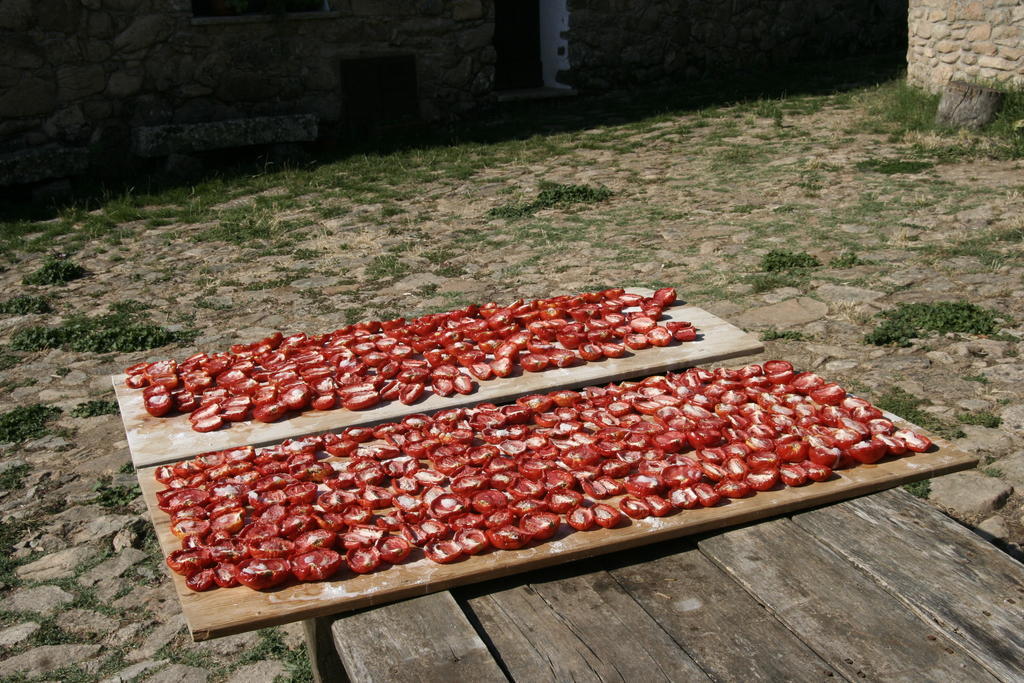 Agriturismo Il Muto Di Gallura Aggius 외부 사진