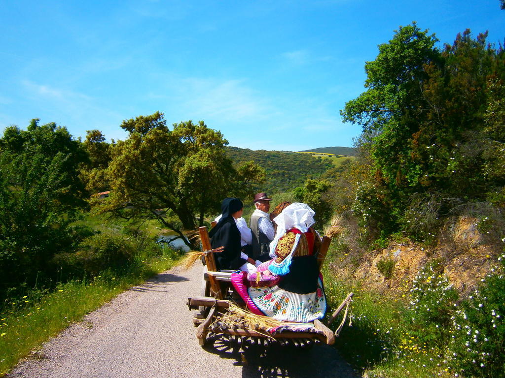 Agriturismo Il Muto Di Gallura Aggius 외부 사진