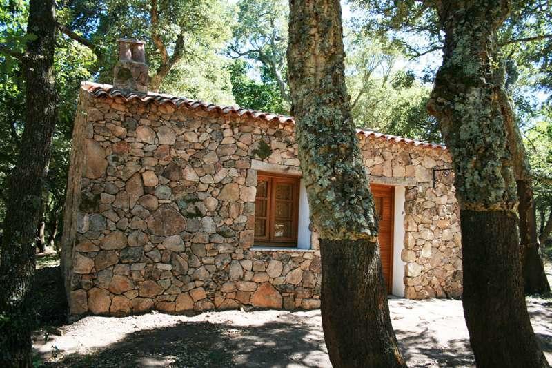 Agriturismo Il Muto Di Gallura Aggius 객실 사진