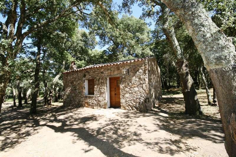 Agriturismo Il Muto Di Gallura Aggius 객실 사진