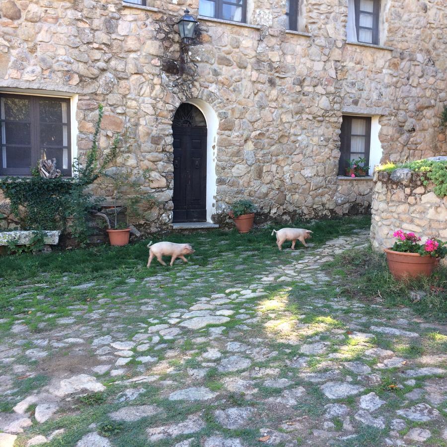 Agriturismo Il Muto Di Gallura Aggius 외부 사진